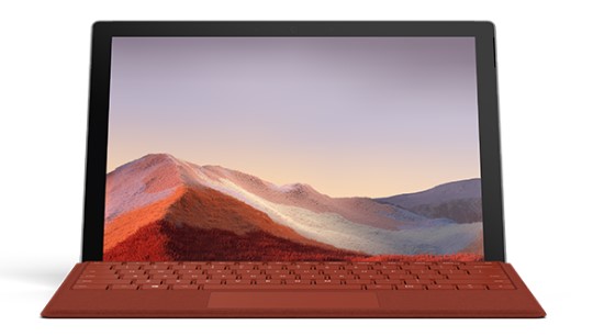 白银清洁和维护 Surface